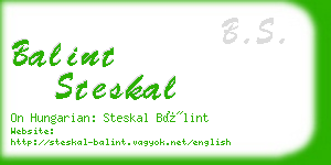 balint steskal business card